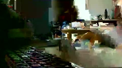 patience69f online show from April 25, 11:46 am