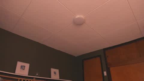 Paul online show from January 19, 3:32 pm