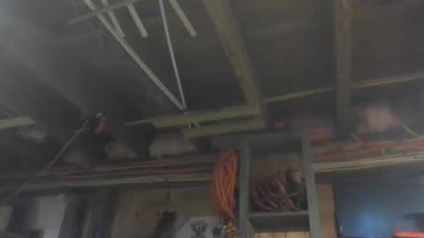 paulstetson online show from December 26, 3:53 pm