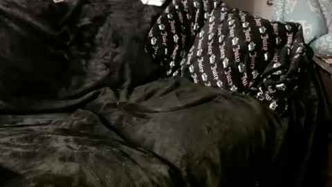 pauly online show from January 1, 11:16 am