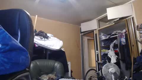 pc8474408 online show from March 1, 5:01 pm