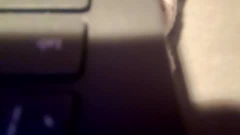 pedro10_2002 online show from January 12, 1:09 am