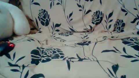 peshtic20 online show from September 17, 3:51 am