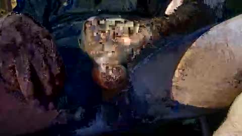 mynameisguyyy online show from November 2, 11:47 am