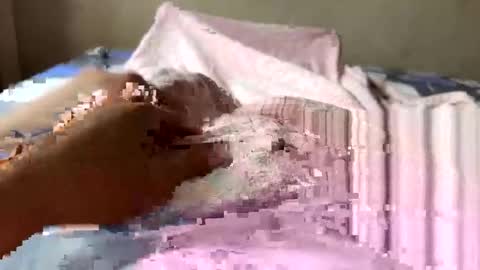 Pinokolada online show from April 11, 7:04 am