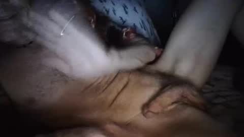 playdaddy756210 online show from March 12, 2:52 am