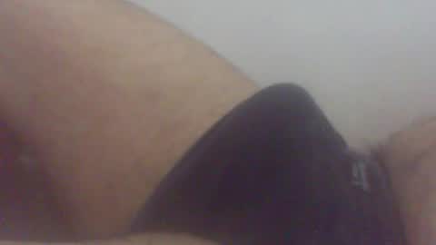 pol2023 online show from March 28, 2:01 am