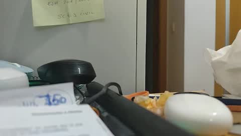 ppillo online show from November 17, 10:46 pm