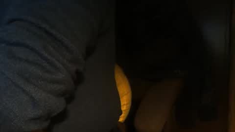 predator19491 online show from March 26, 11:36 am