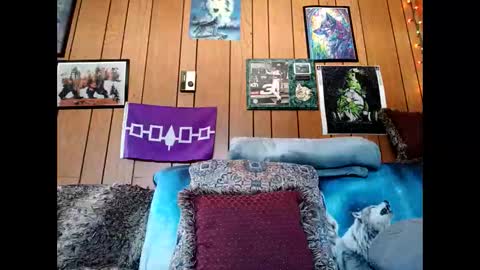 prettysolid7 online show from March 1, 4:39 pm