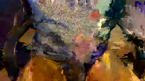 prittinho online show from February 3, 7:18 am