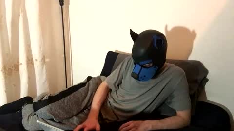 Toby online show from November 13, 8:13 pm