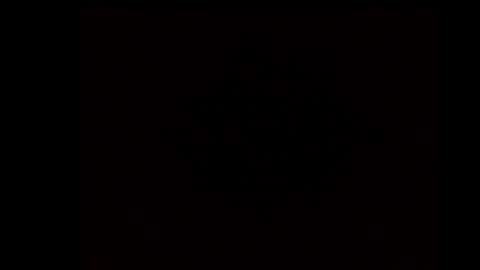 puppy554 online show from February 11, 9:42 pm