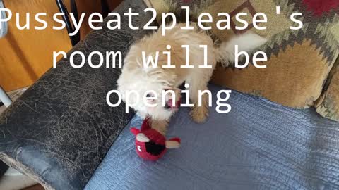 Rick online show from February 4, 10:00 am