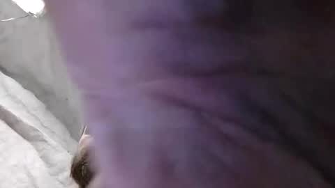 pussylicker517038 online show from December 17, 9:39 am