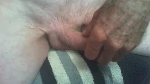 rattcatt online show from September 16, 8:26 am