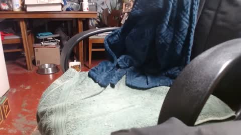 Ray online show from January 1, 1:04 am