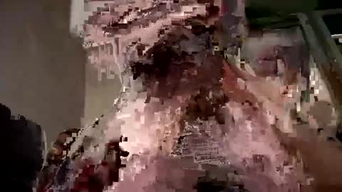 Mr Nice online show from March 3, 1:17 am