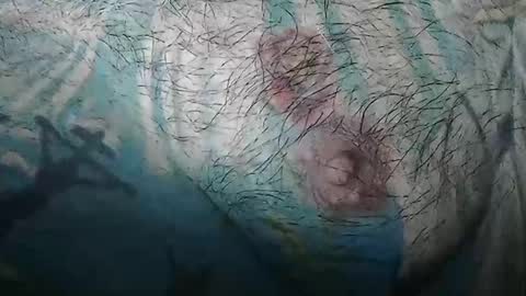 realrubpirate online show from February 2, 9:08 am