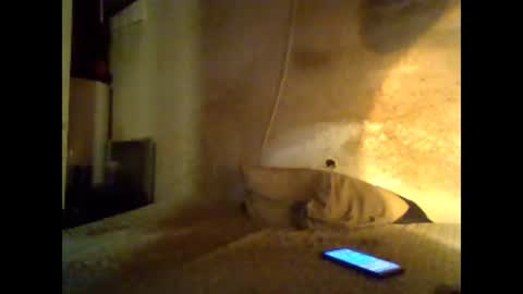 reddragon1195 online show from February 27, 9:00 am