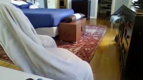 RegularGuyNOLA online show from January 24, 6:14 pm