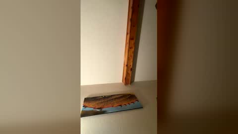 RhinoDickasaurus online show from December 17, 7:59 am