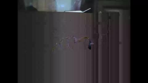 rlpl online show from January 7, 6:46 pm