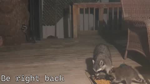 Ryan aka KeylimeRy online show from December 4, 7:10 pm