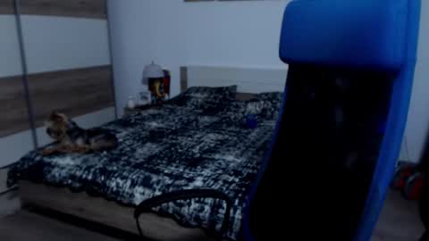 robbyshawz online show from November 12, 12:11 pm