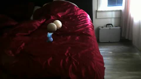 rober10000 online show from September 25, 3:55 pm