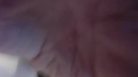 Cum in your mouth online show from January 8, 7:13 pm