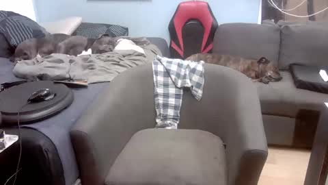 Ryan Tee online show from September 30, 10:30 am