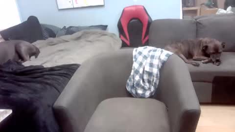 Ryan Tee online show from November 1, 10:52 am