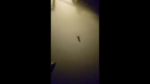 ryanvanco199 online show from May 5, 6:37 am