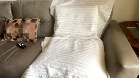 R online show from February 22, 7:21 pm