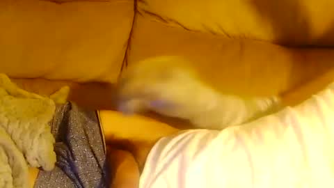 bigddaddy online show from February 15, 7:28 pm