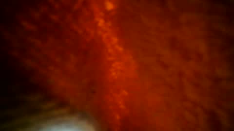 samueltal online show from September 28, 8:29 pm