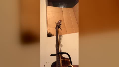 sandrolickyou online show from February 24, 12:12 am