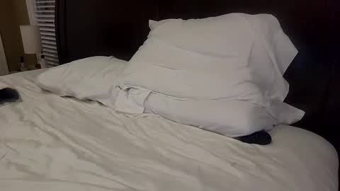 sanpan25 online show from October 5, 3:10 am