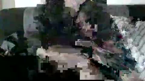 satyayuga online show from February 23, 6:20 pm