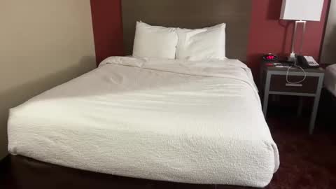 schletor online show from February 14, 2:28 am