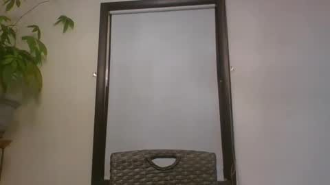 scottpbi52 online show from January 7, 2:01 am