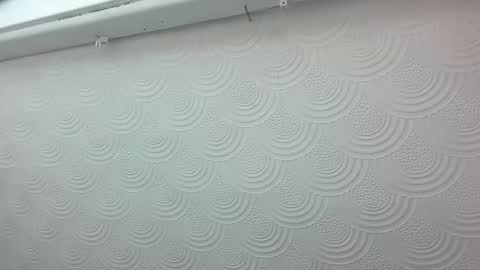 sebastianspalding450 online show from March 11, 10:00 am