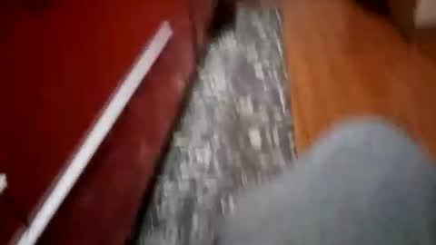 segaiolo21cm online show from January 18, 5:31 am