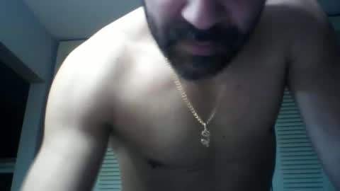 seuus2026 online show from February 12, 1:11 am