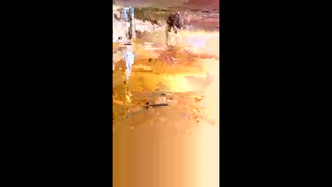 shane1234565 online show from February 28, 1:54 pm