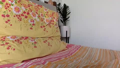 shashank2428 online show from January 14, 8:52 am