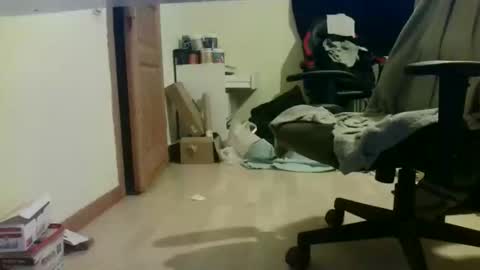 siggi online show from November 12, 3:07 pm