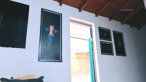 silvabranko online show from March 6, 9:12 pm