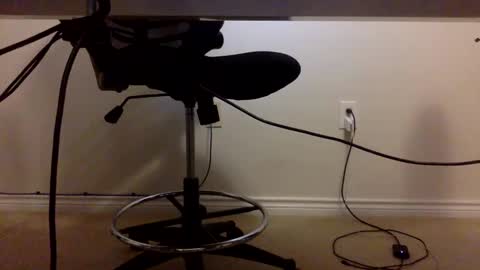 Bare like Bear online show from February 11, 11:43 am